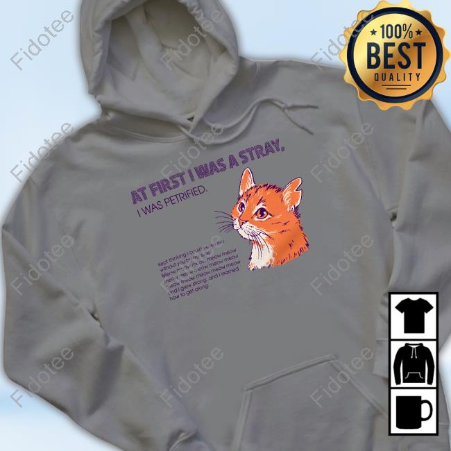 Strange-Ways Merch Store At First I Was A Stray Cat Hooded Sweatshirt Strange-Ways Merch Store At First I Was A Stray Cat Hooded Sweatshirt