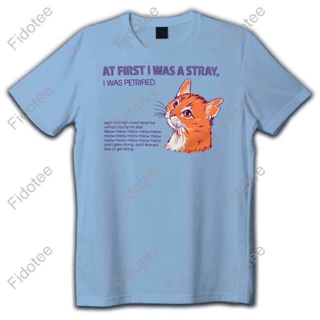 Strange-Ways Merch Store At First I Was A Stray Cat Hooded Sweatshirt Strange-Ways Merch Store At First I Was A Stray Cat Hooded Sweatshirt